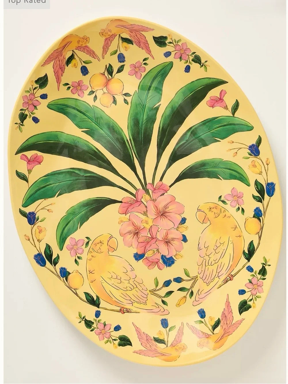 Farm Rio x Anthropologie Melamine Oval Serving Platter Yellow Parrot Tropical